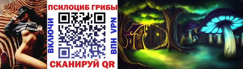 даркнет сайт  Пущино  Галлюциногенные грибы MAGIC MUSHROOMS 
